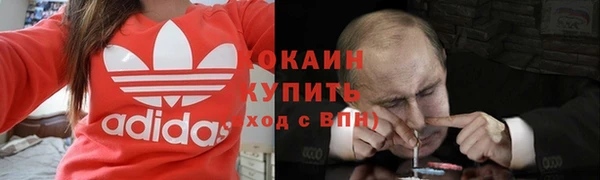 бутират Дмитриев