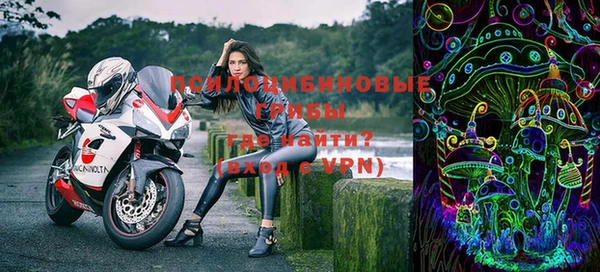 бутират Дмитриев